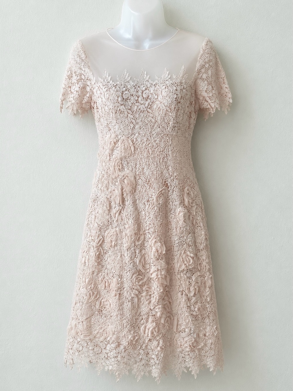 Rickie Freeman Teri Jon Blush Pink 3D Floral Lace Cocktail Dress Size 2